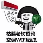 出门被晒化？七条防暑小贴士帮你安然度夏！-晟皋电气
