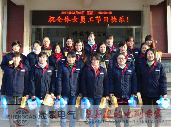 上海晟皋电气科技有限公司开展三八妇女节关爱女职工活动